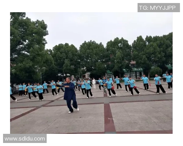 探索杨氏42式太极剑的精髓与技艺传承之美 探索杨氏42式太极剑的精髓与技艺传承之美