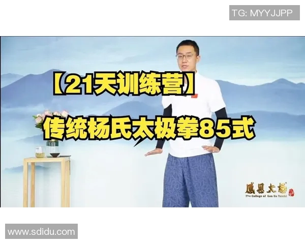 探索杨氏太极85式的奥秘与技巧提升之道