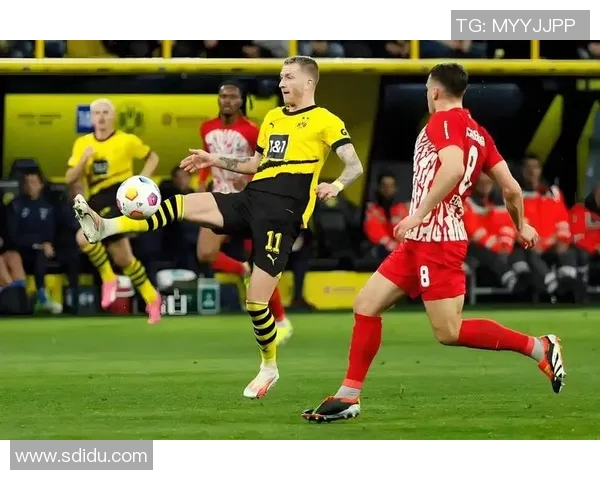 沃尔夫斯堡主场险胜,德甲榜单略微改变 沃尔夫斯堡主场险胜,德甲榜单略微改变